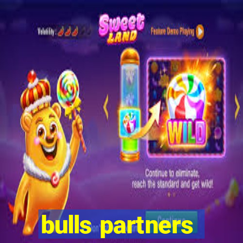 bulls partners